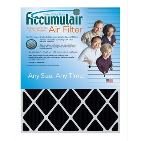 Accumulair Accumulair FO20X20X2 Carbon Odor Block 2 In. Filter; Pack of 2 FO20X20X2